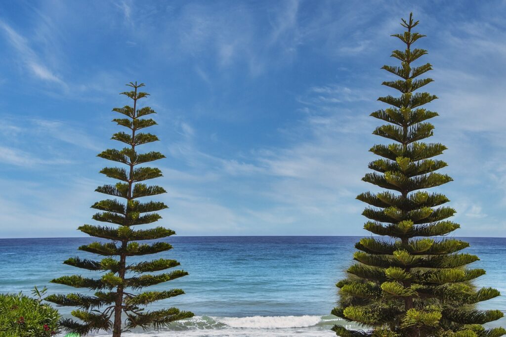 side boys haircuts long on top