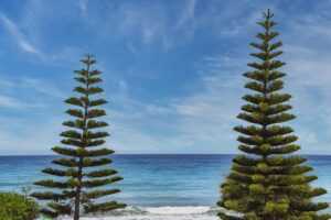 side boys haircuts long on top