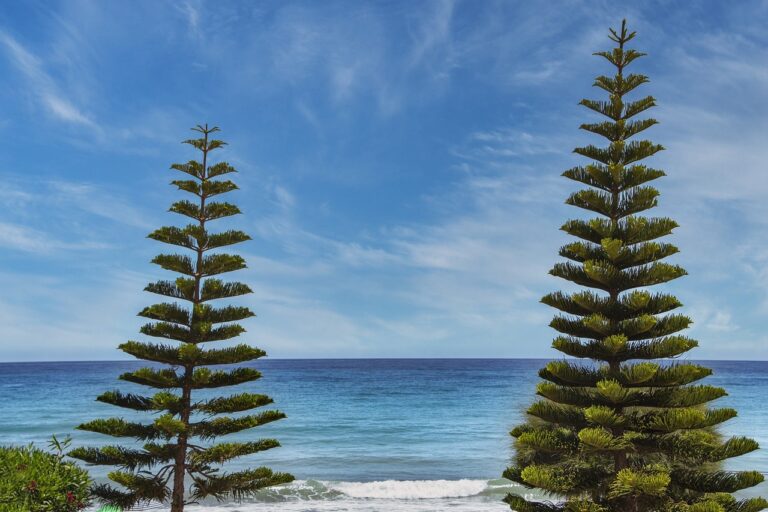 side boys haircuts long on top