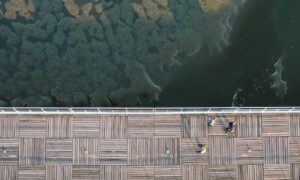 fitness nutrition twspoondietary