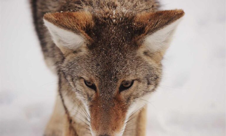 how to get fit step by step lwspeakfit