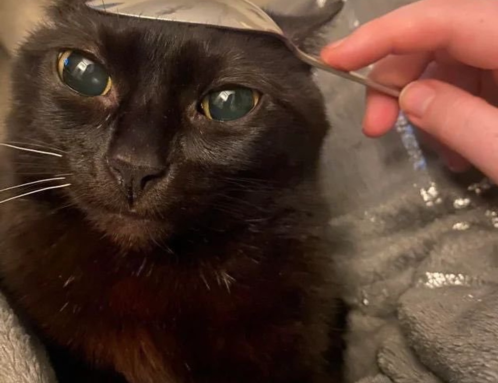 lwspeakfit fitness guide by letwomeanspeak