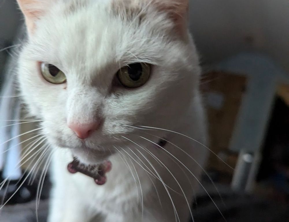 weight loss guide lwspeakfit