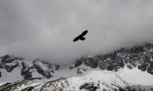 which gym should i go to lwspeakfit