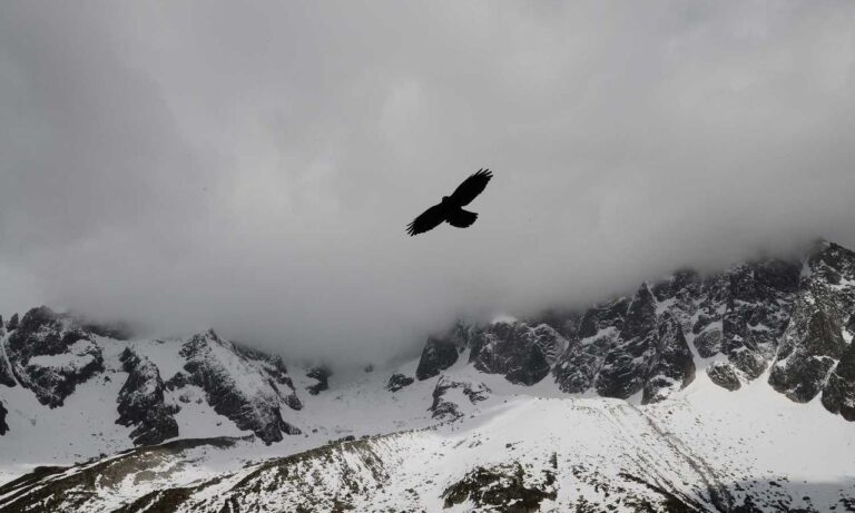 which gym should i go to lwspeakfit