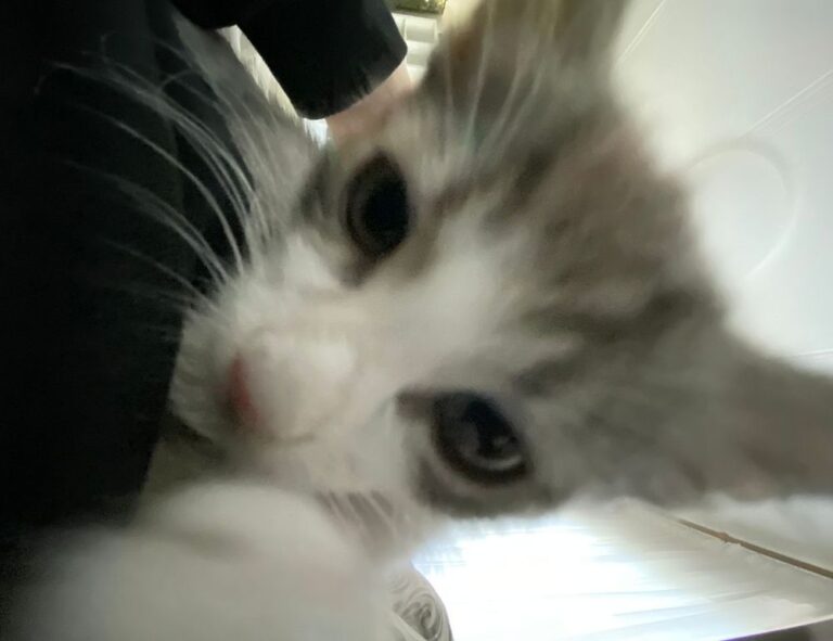 how to pronounce zethazinco island