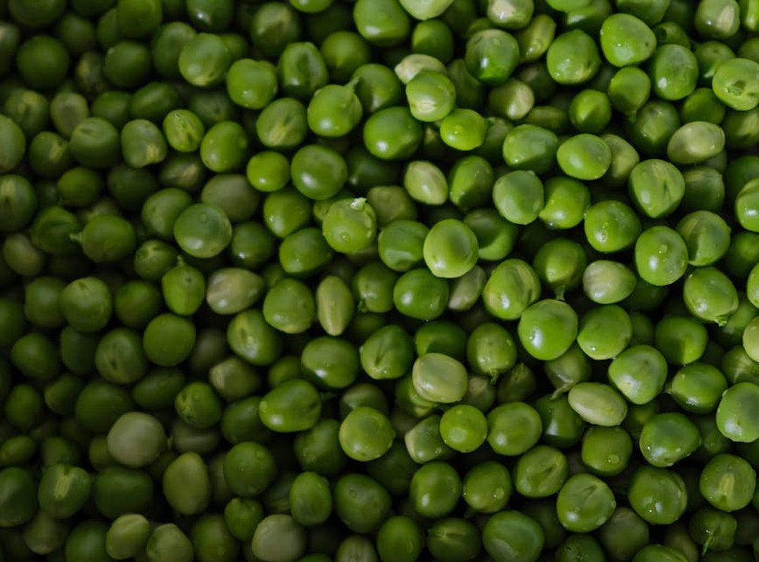 Fitness Nutrition Guide Twspoondietary