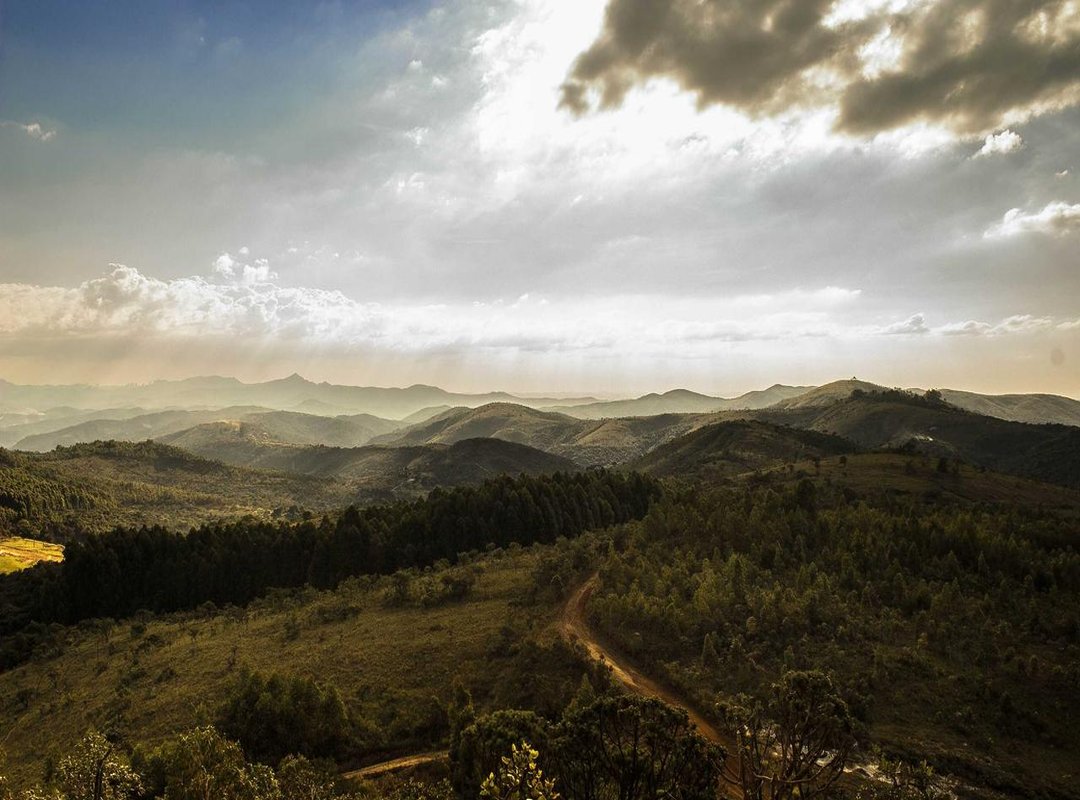 Visualizing 110cm: How Tall Is It Really?