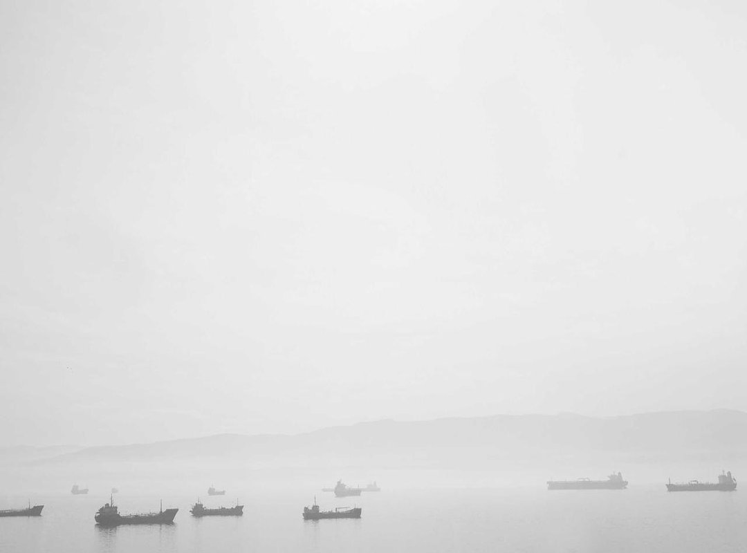 A Head-to-Head Comparison: Farmwood vs. Other Grocery Store Halal Brands