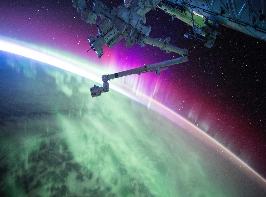 The Art of Sharing: How to Send GIFs Without Being Annoying