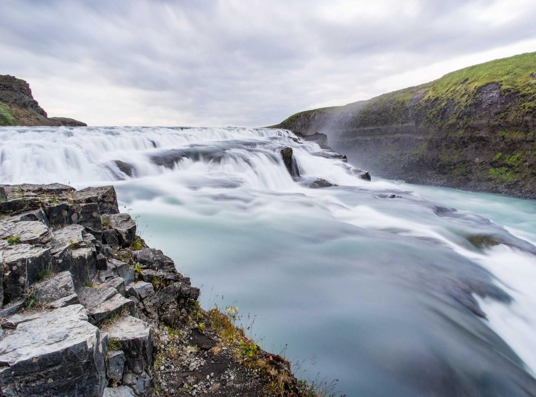 Reaping the Rewards: What You Get From the Humboldt Squid
