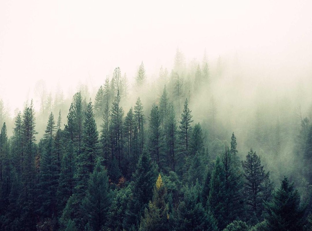 Get the Gaethje Style for Less: Top 3 Alternatives