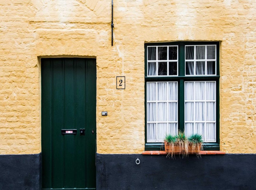 The Science Behind the Fear: Why Do These Patterns Bother Us?