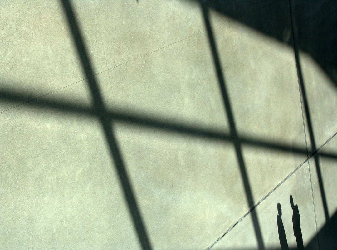 Notable Collaborations and Career Highlights