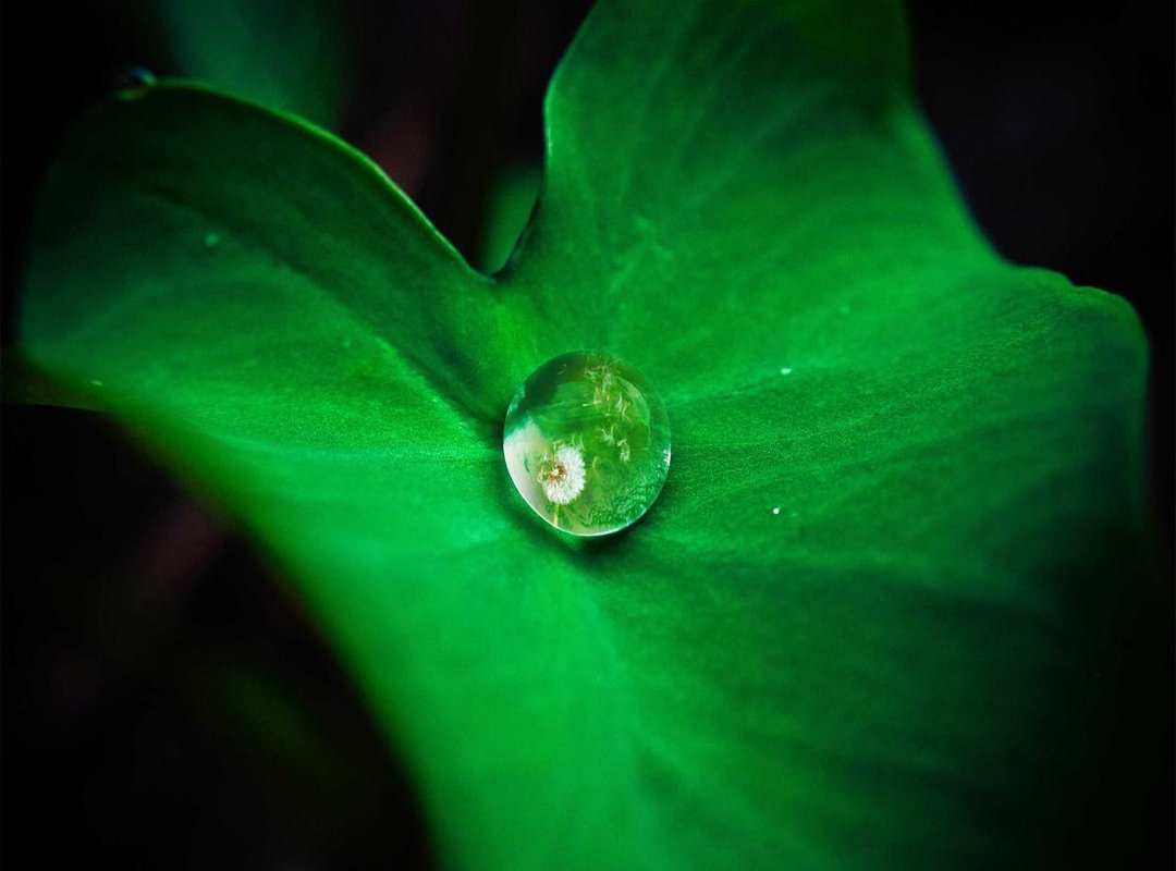 For the Realism Enthusiast: The Hell Let Loose Experience