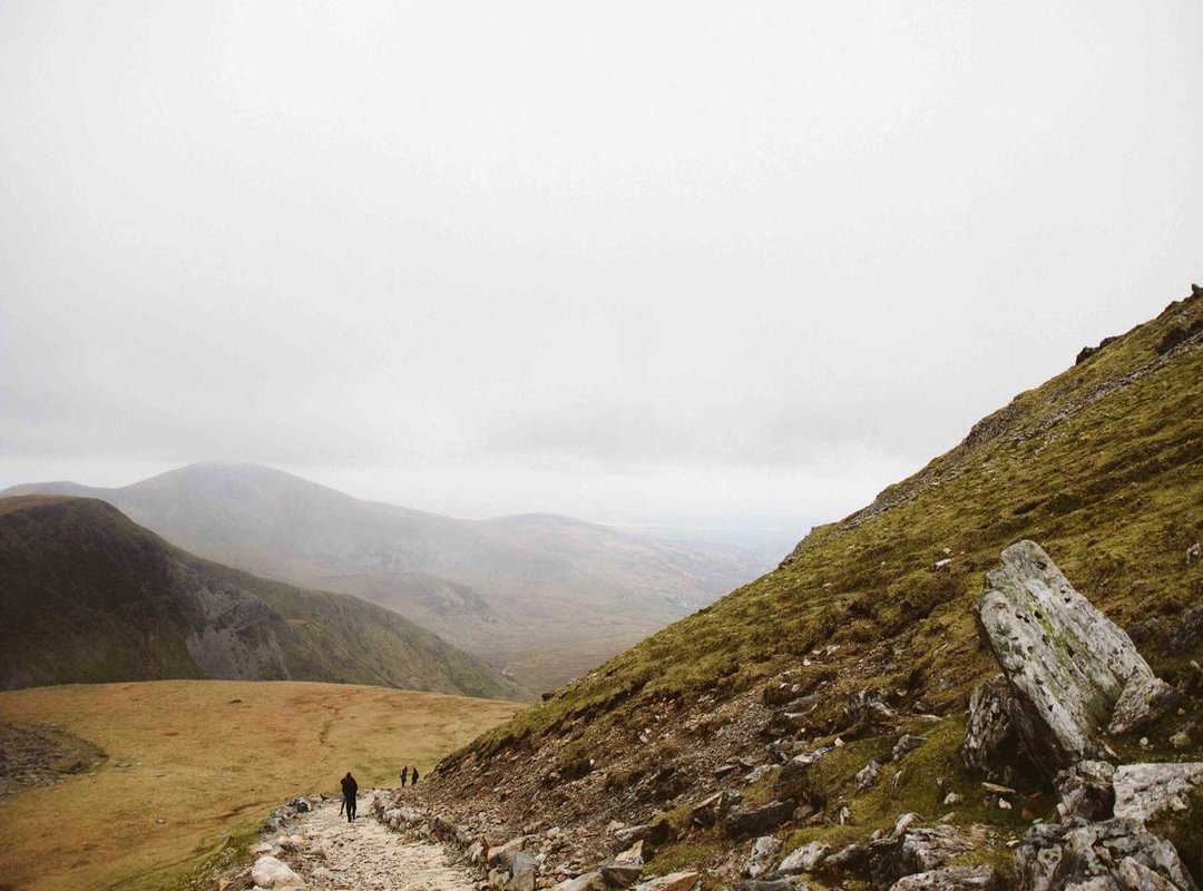 Meet the Characters: Most Popular Coloring Sheets to Look For