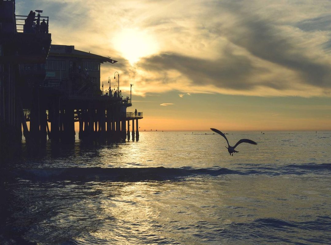 A Community in Mourning: The Aftermath and Response