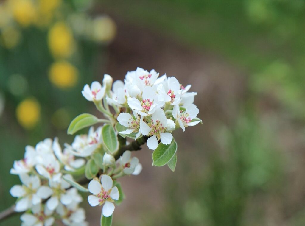 video quiero agua original sin censura